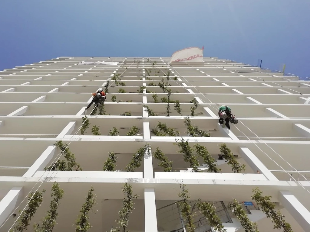 Two Alp'Solution rope access technicians maintaining the green facade of an apartment building