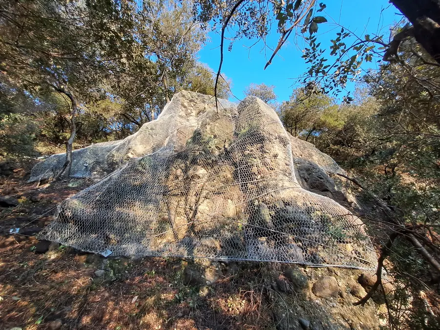 Boulder held by a net in a forest