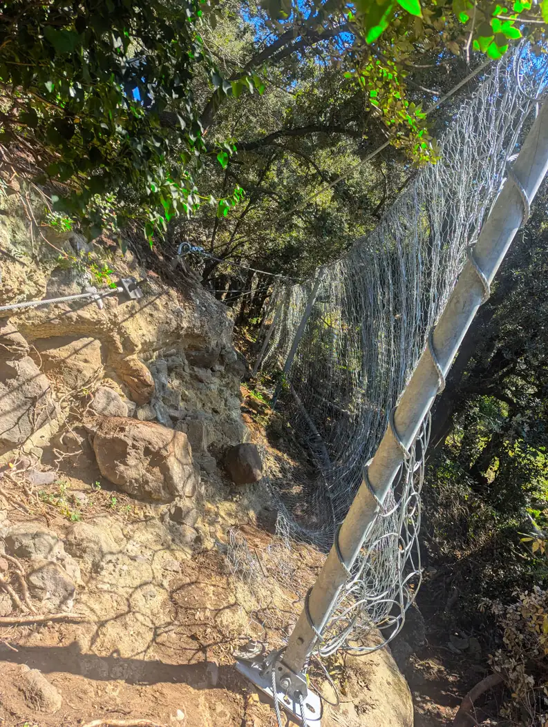 Energy-absorbing rockfall barrier in a forest