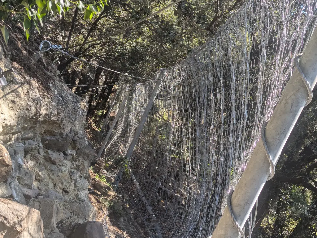 Rockfall net wall, Biot