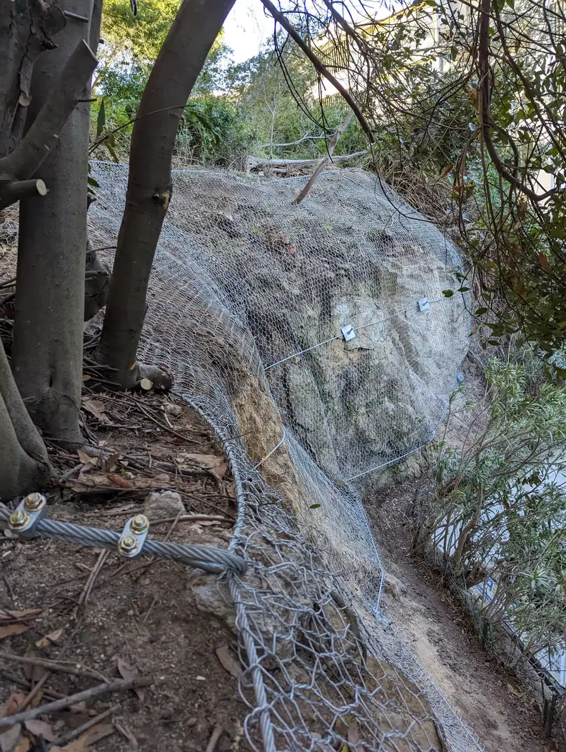 Wooded embankment protected by mesh