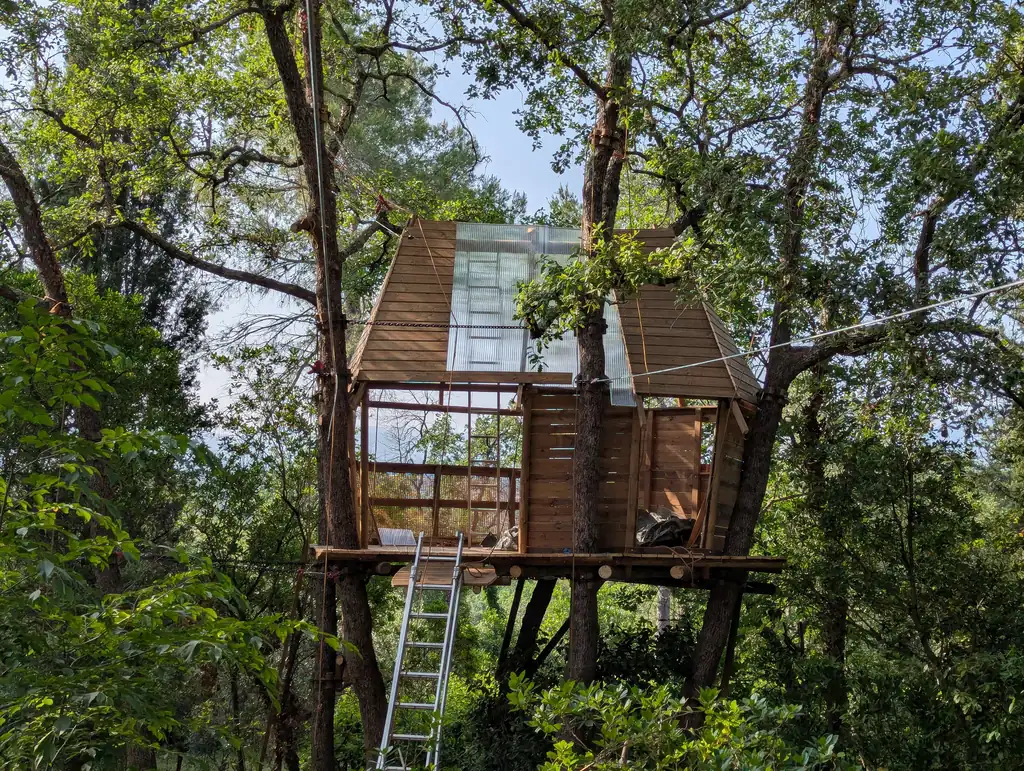 Treehouse up in the trees