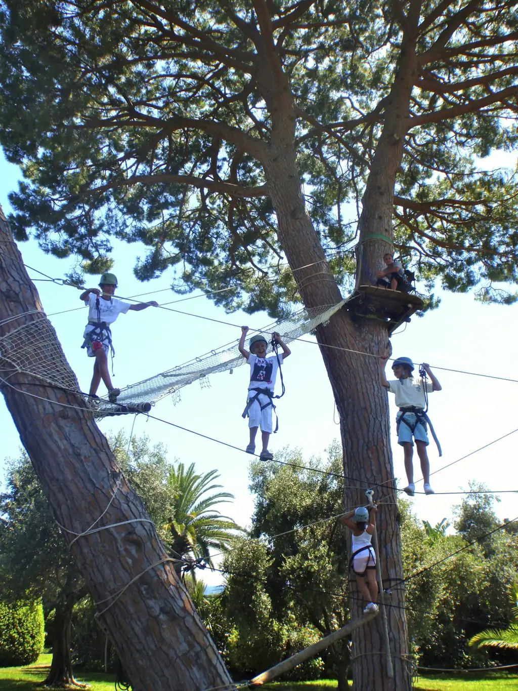 Children on a treetop adventure course at a birthday party