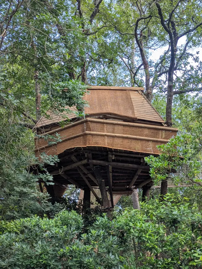 Large treehouse surrounded by greenery