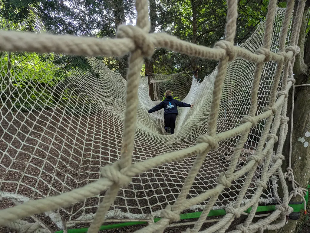 Net bridge in the trees