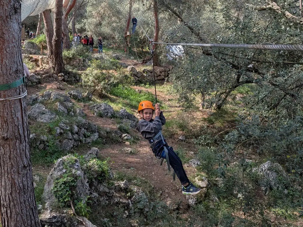 Child on a zip line in a forest